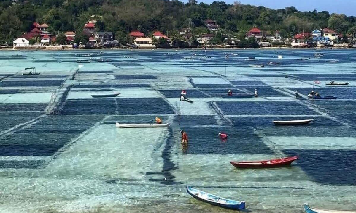 Photo of Others in Mushroom Bay