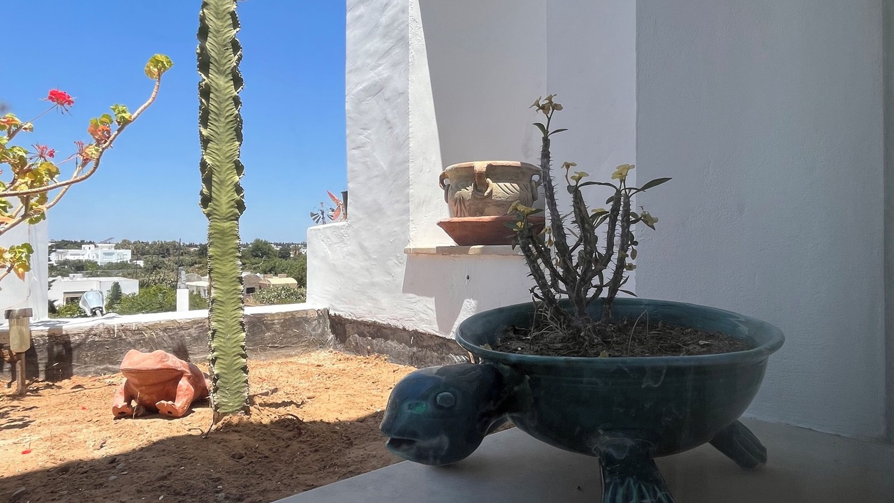 Photo of Outdoor in Hammamet Interieure