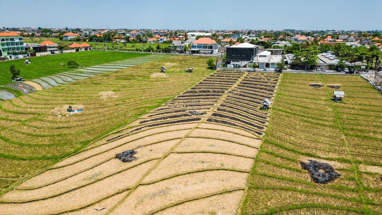 Photo of Outdoor in Berawa