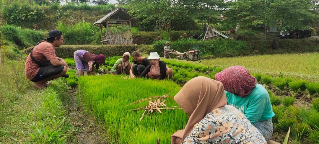 Photo of Others in Tetebatu