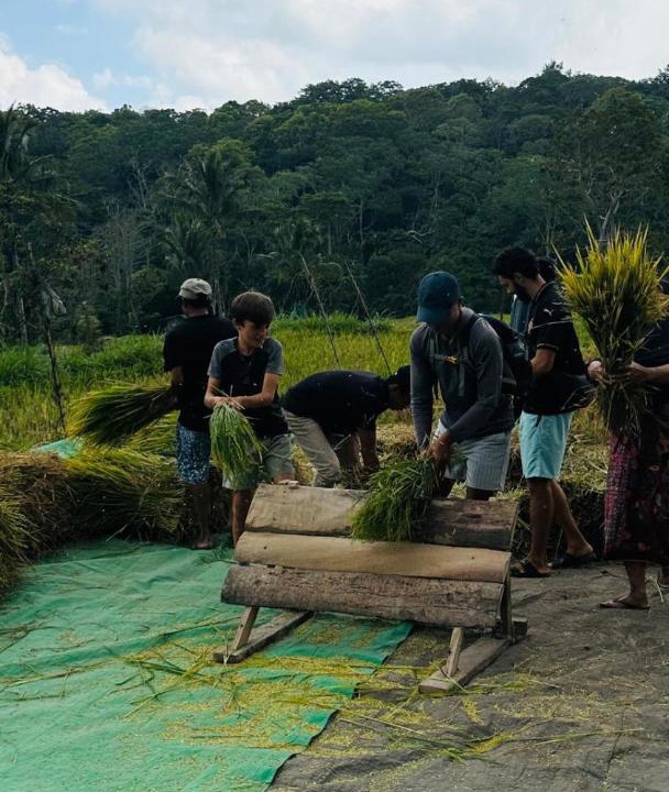 Photo of Others in Tetebatu