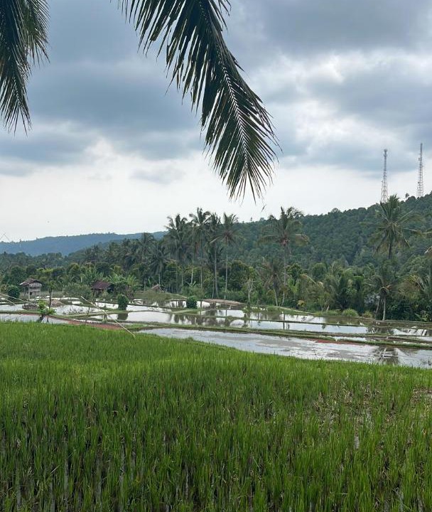 Photo of Others in Munduk
