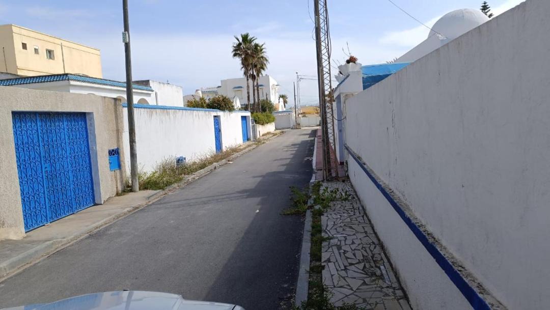 Photo of Others in Soliman