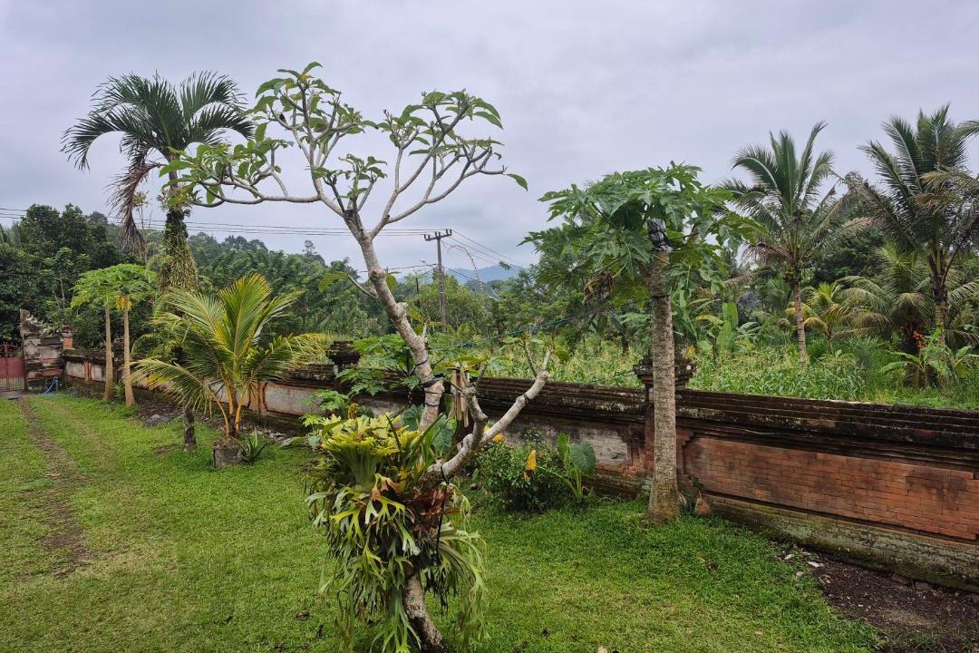 Photo of Others in Selat