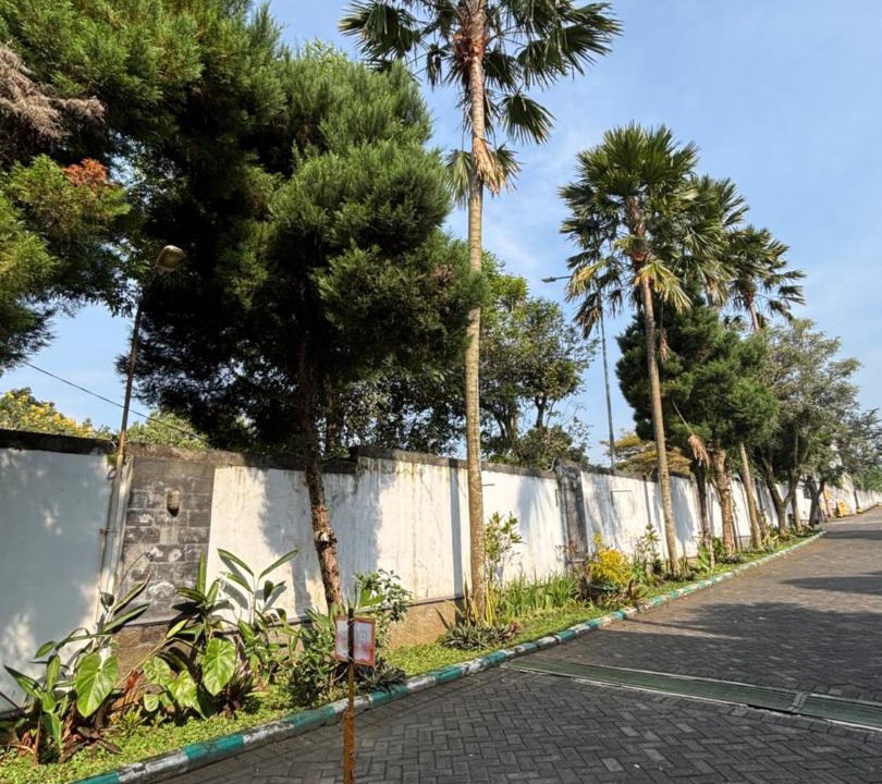 Photo of Outdoor in Oro Oro Ombo