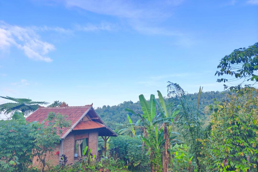 Photo of Others in Wongaya Gede