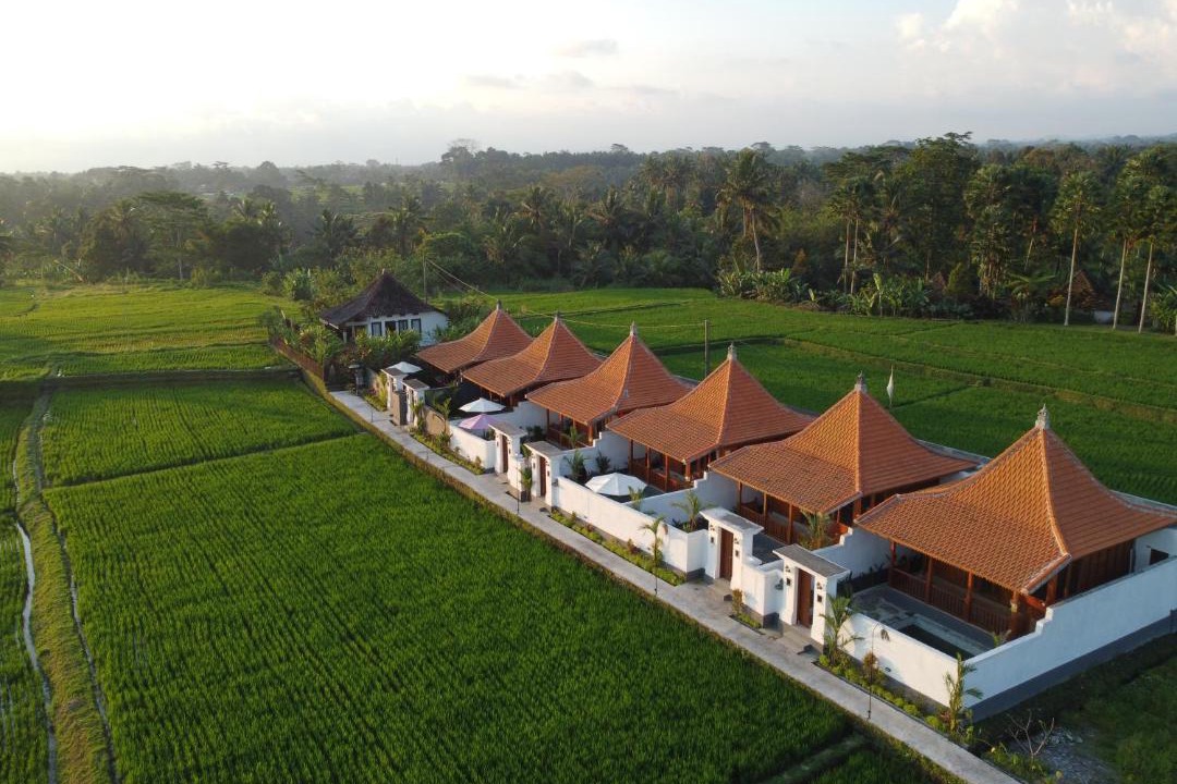 Photo of Others in Tegallalang