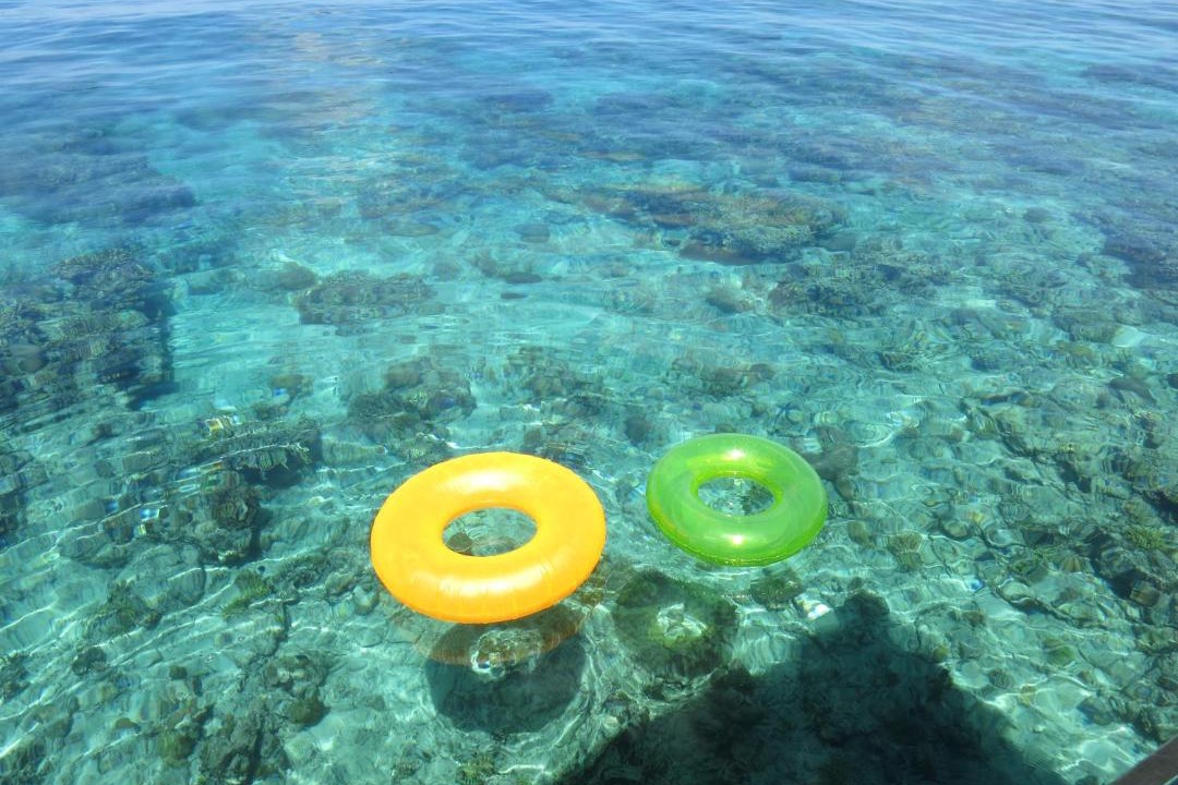Photo of Others in Pulau Kadidi