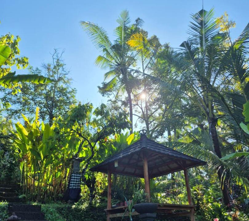 Photo of Others in Munduk