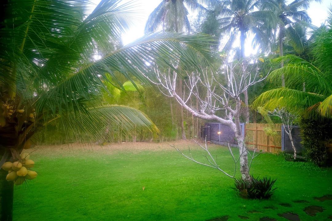 Photo of Others in Penida Island