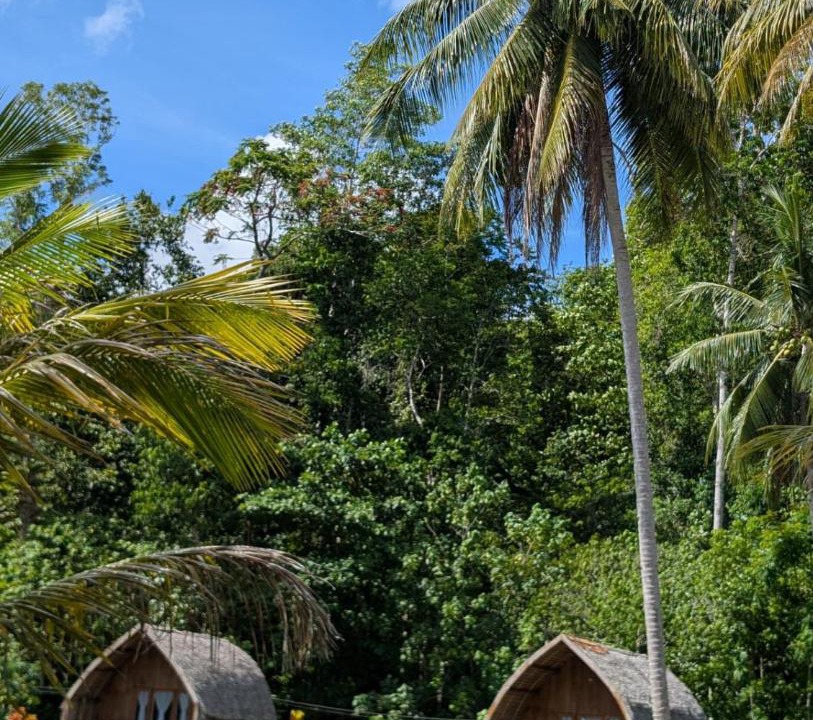 Photo of Others in Batudaka Island