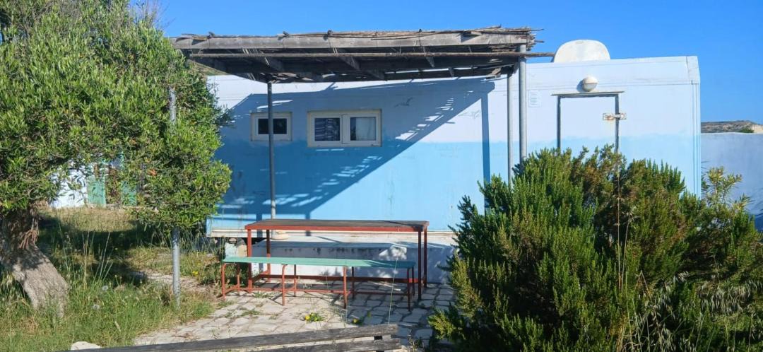 Photo of Others in Aousja