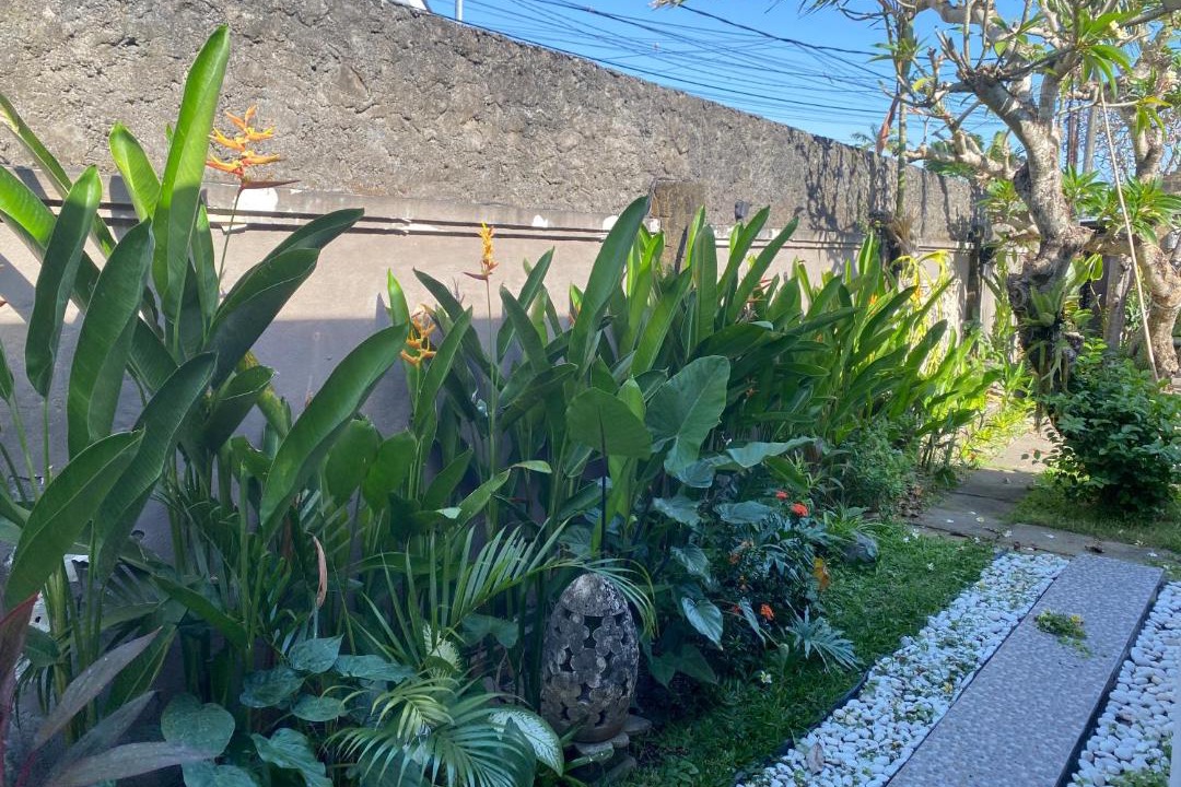Photo of Outdoor in Sanur Kauh