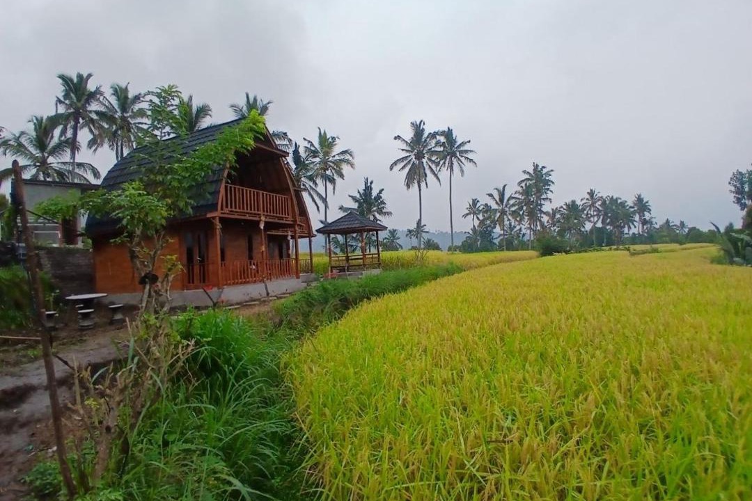 Photo of Others in Munduk