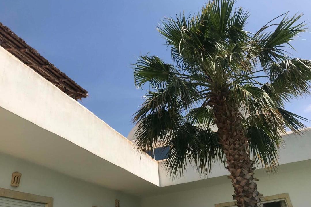 Photo of Others in Sousse Governorate