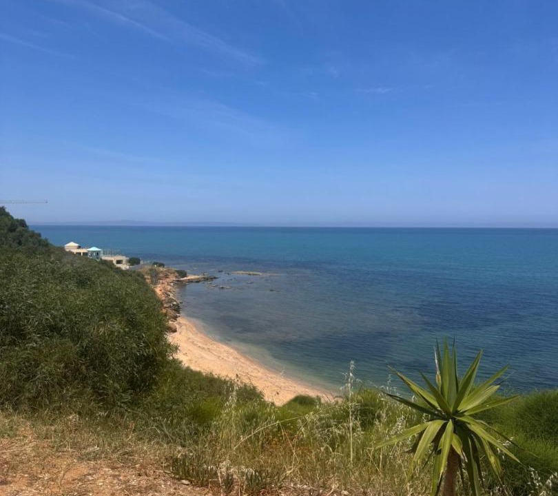 Photo of Others in La Marsa