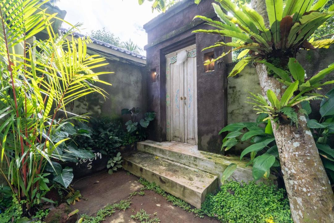 Photo of Others in Taro