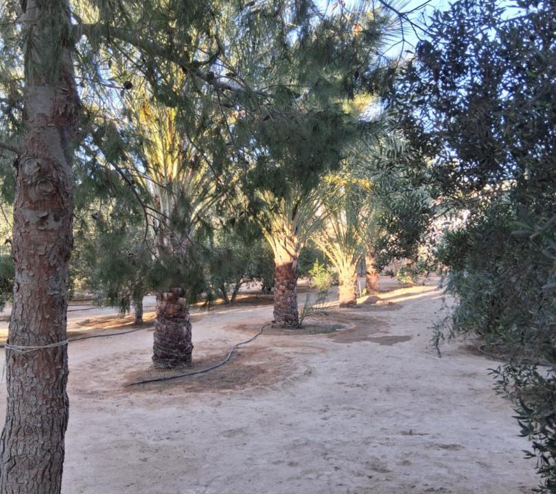 Photo of Others in Tataouine