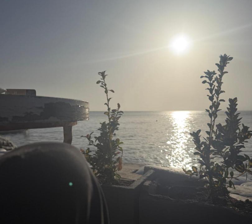 Photo of Others in Eastern Hammamet
