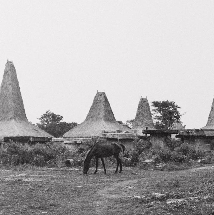 Photo of Others in Southwest Sumba