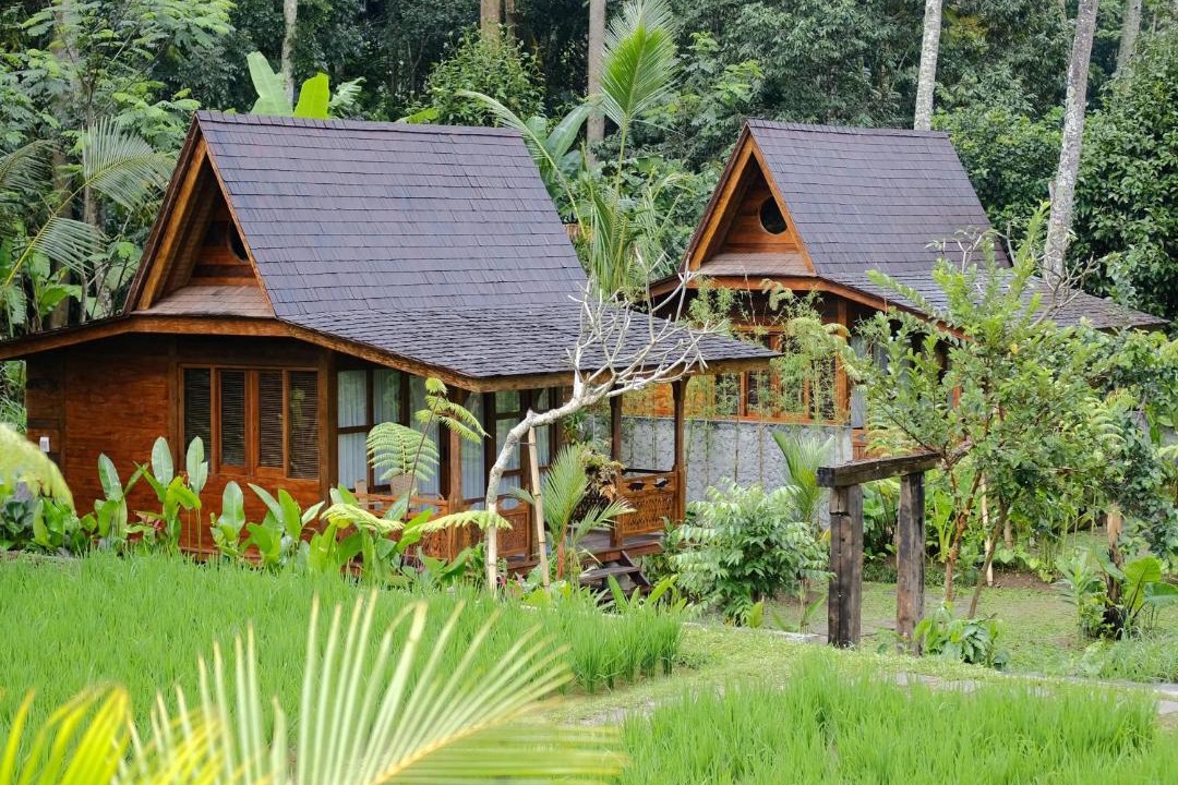 Photo of Others in Taro