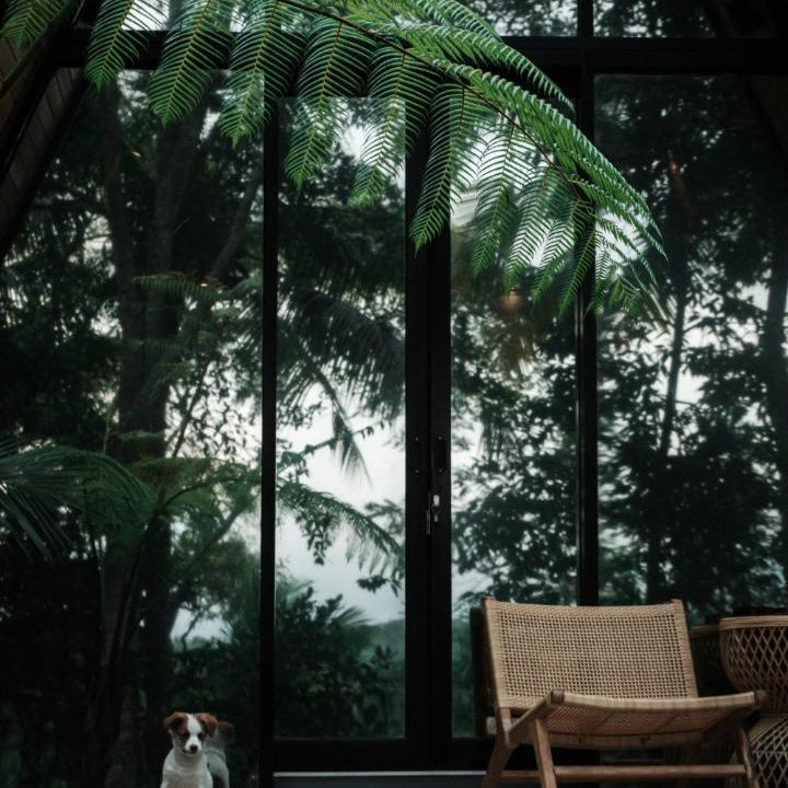 Photo of Others in Payangan