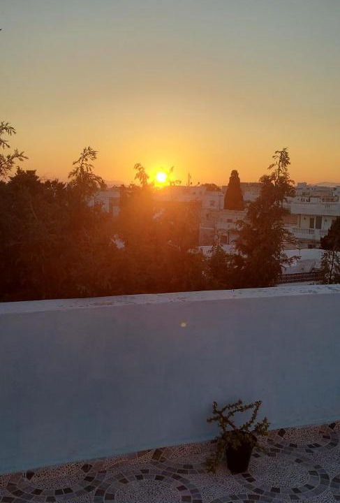 Photo of Others in Eastern Hammamet