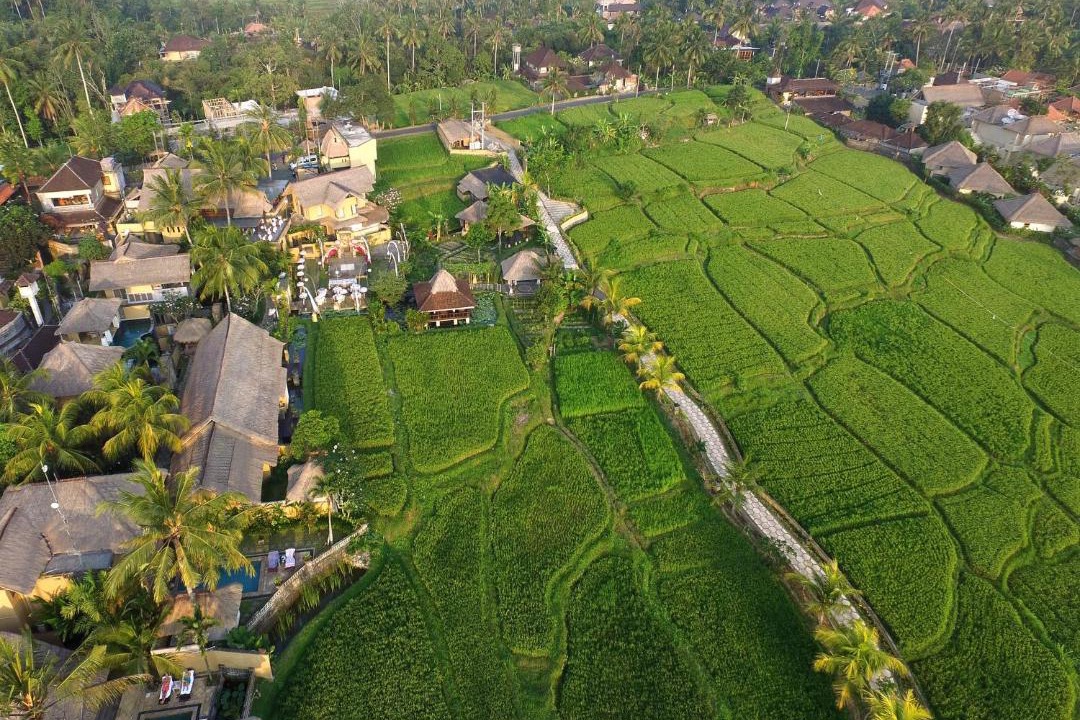 Photo of Others in Ubud