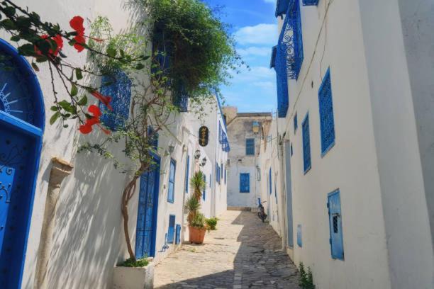 Photo of Others in Sidi Bou Said