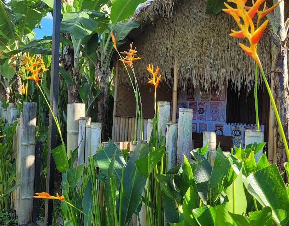 Photo of Others in Ubud City-Centre