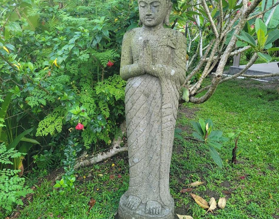 Photo of Others in Ubud City-Centre