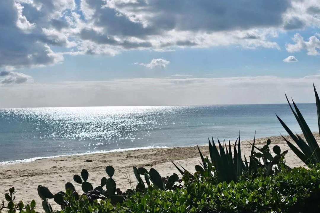 Photo of Others in Eastern Hammamet