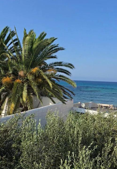 Photo of Others in Aousja