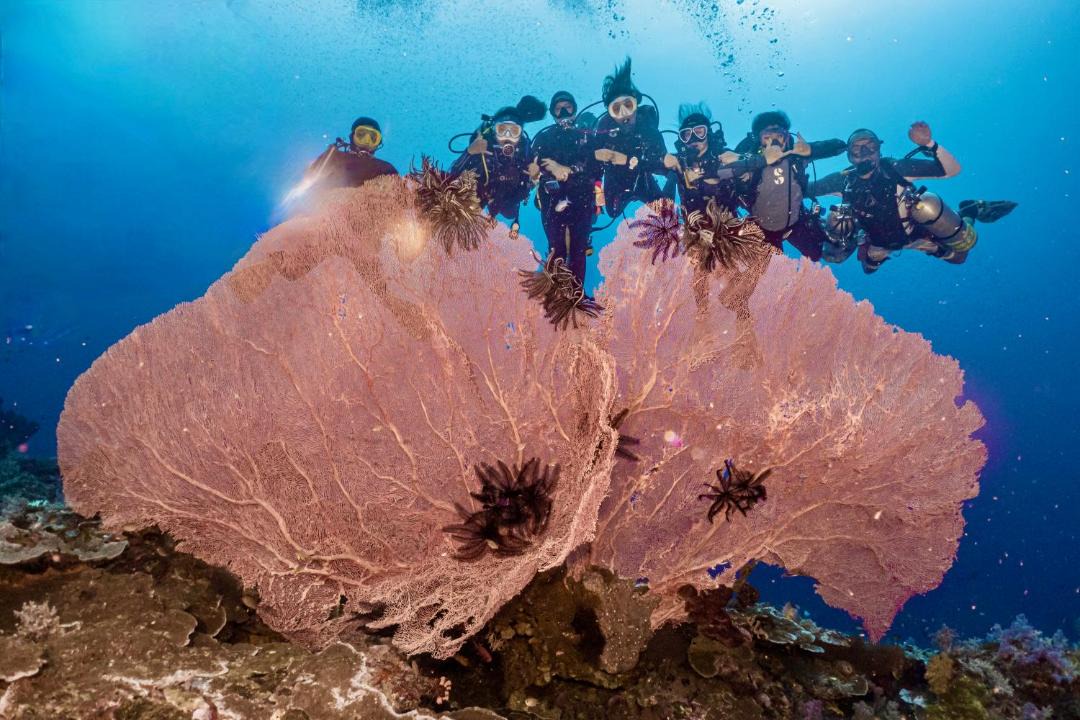 Photo of Others in Pulau Unauna