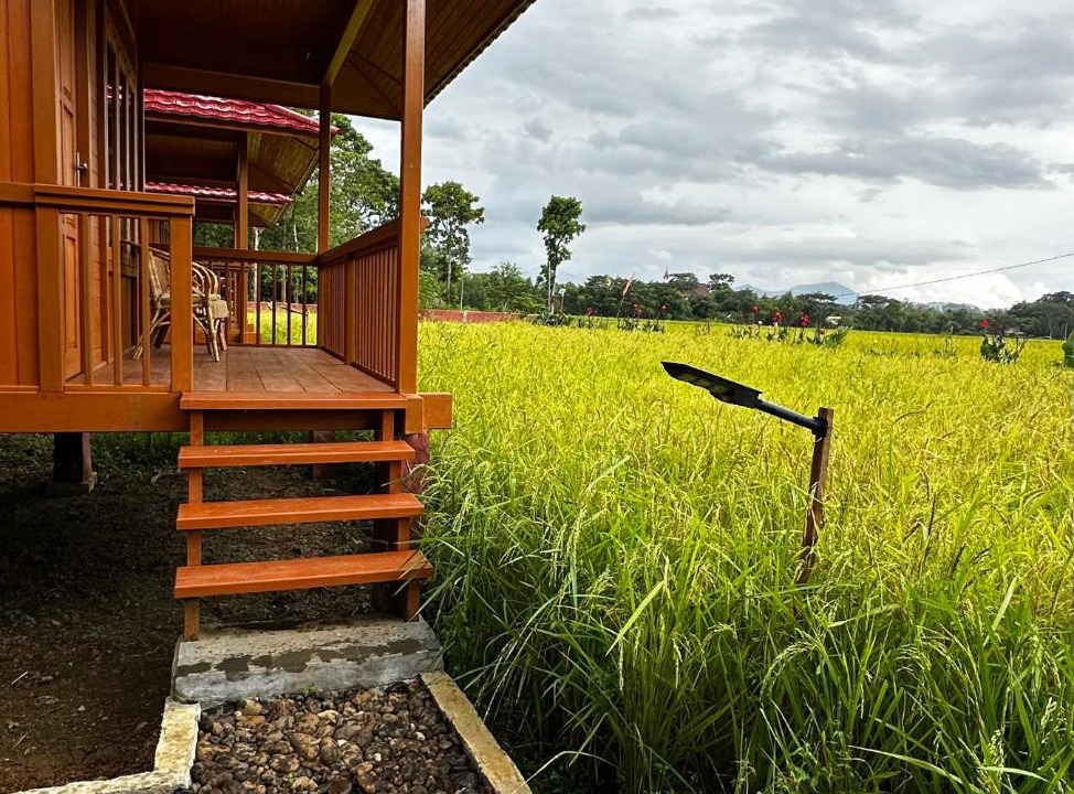 Photo of Others in North Toraja