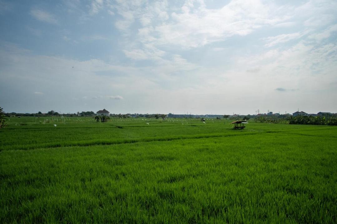Photo of Others in Denpasar Barat