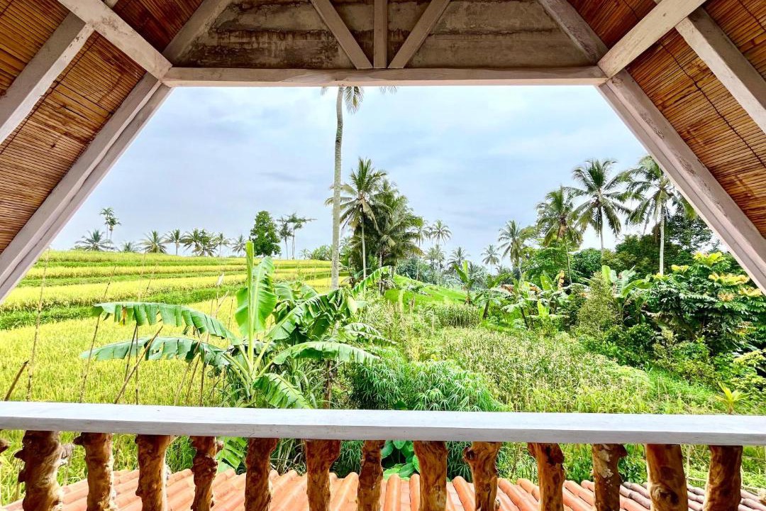 Photo of Others in Banyuwangi