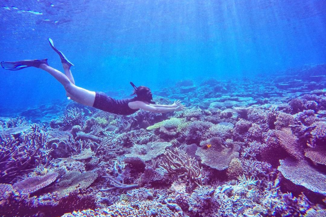 Photo of Others in Batudaka Island