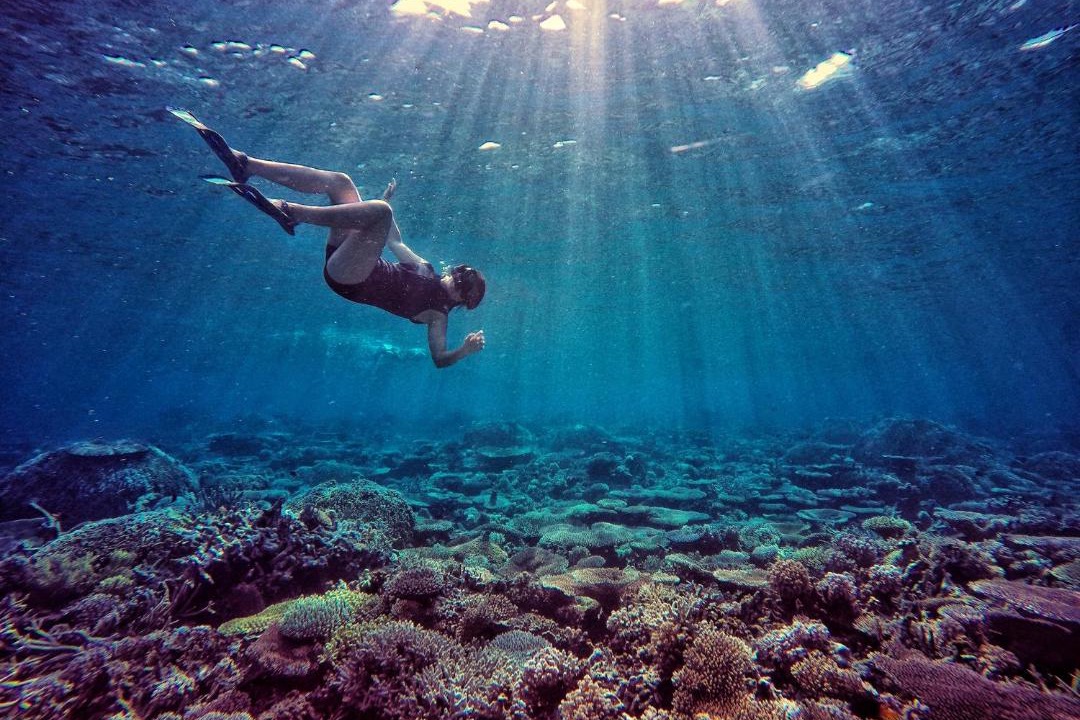 Photo of Others in Batudaka Island