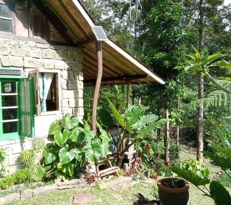 Photo of Others in Wongaya Gede