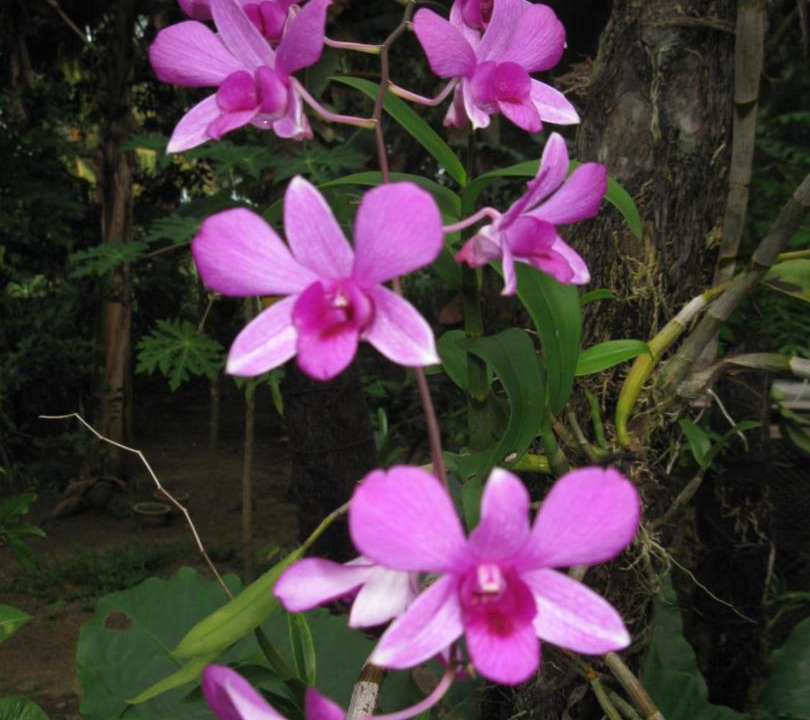 Photo of Others in Pulau Kadidi