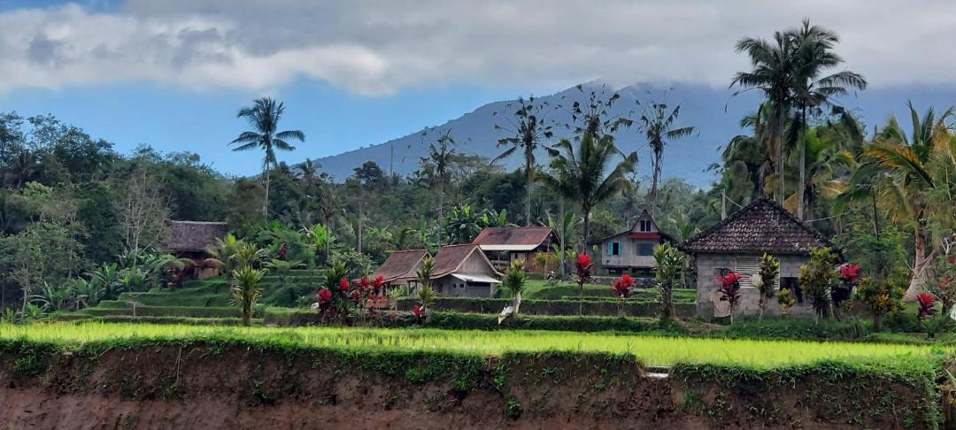 Photo of Others in Wongaya Gede
