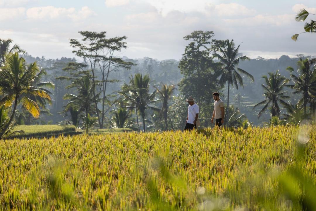 Photo of Others in Ubud