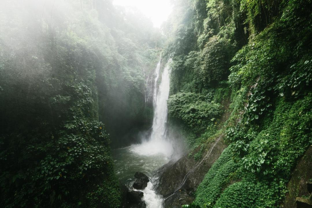 Photo of Others in Sukasada