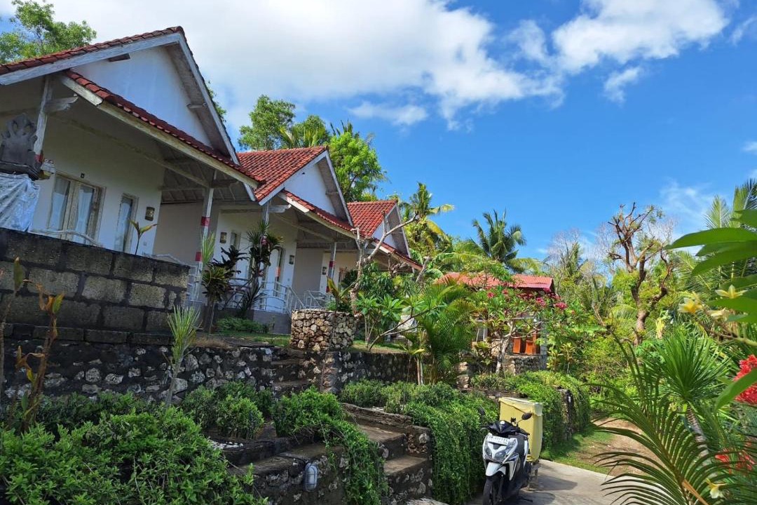 Photo of Others in Penida Island