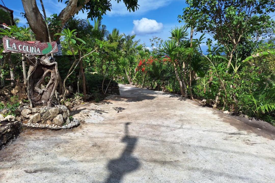 Photo of Others in Penida Island