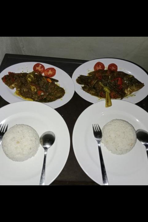 Photo of Kitchen in Selemadeg