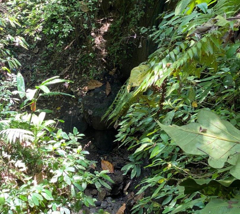 Photo of Others in Kutuh Kaja