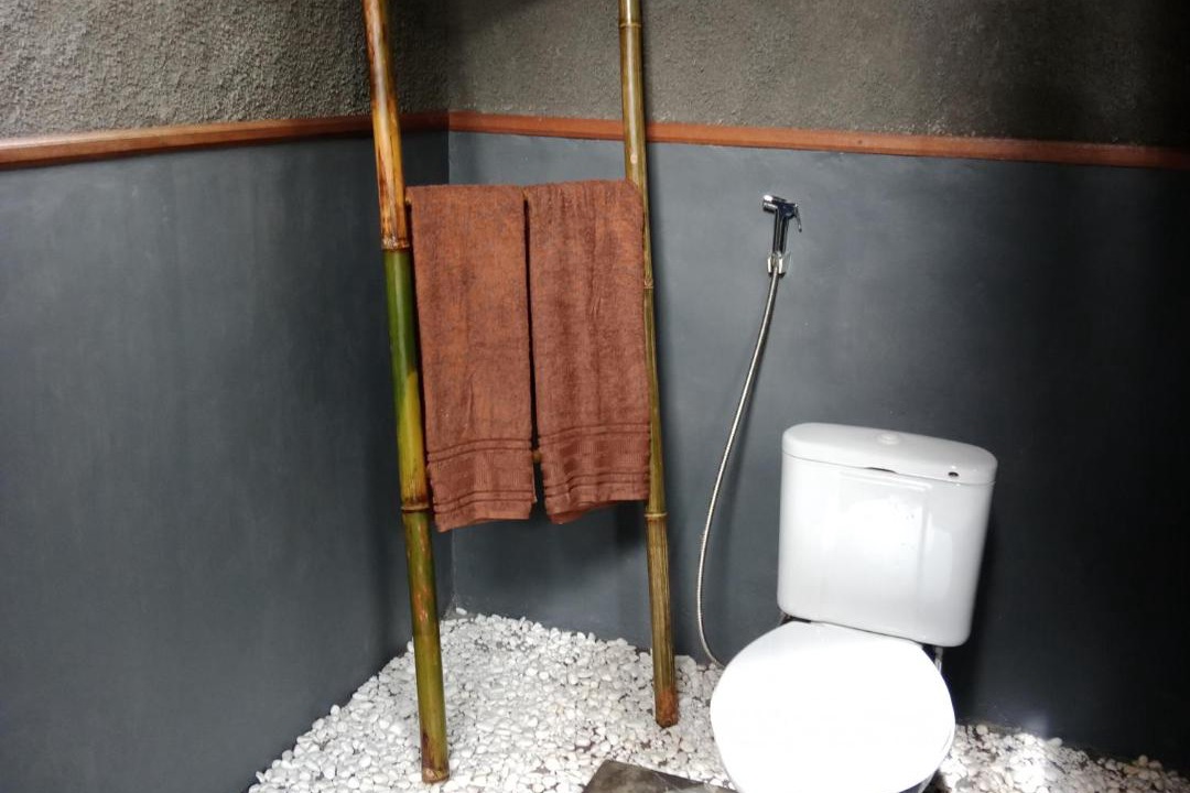 Photo of Bathroom in Selemadeg