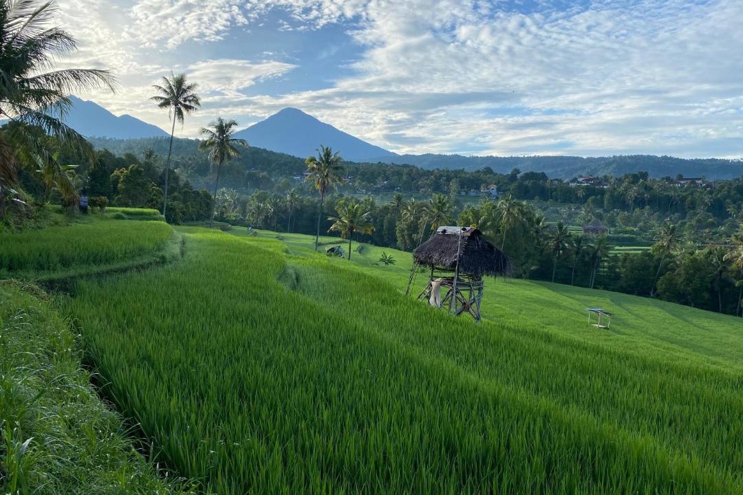 Photo of Others in Munduk